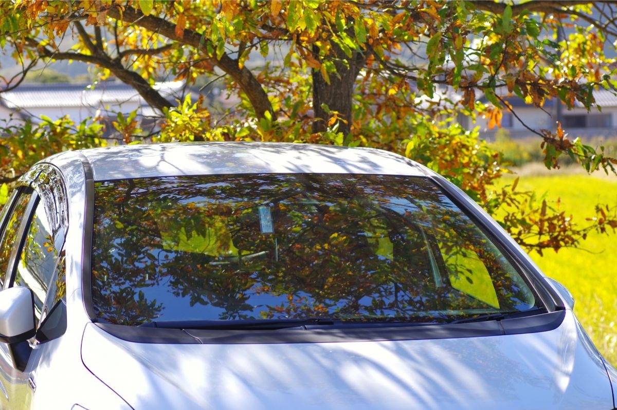 自動車ガラスの可視光線透過率と車検基準を徹底解説